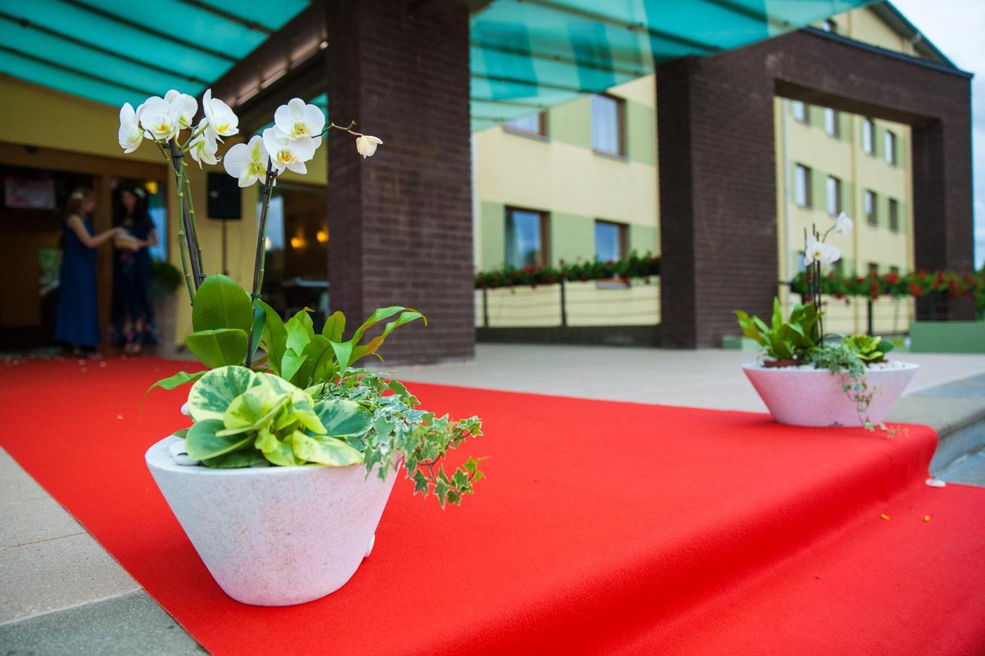 Priekuļi Hotel Tigra מראה חיצוני תמונה